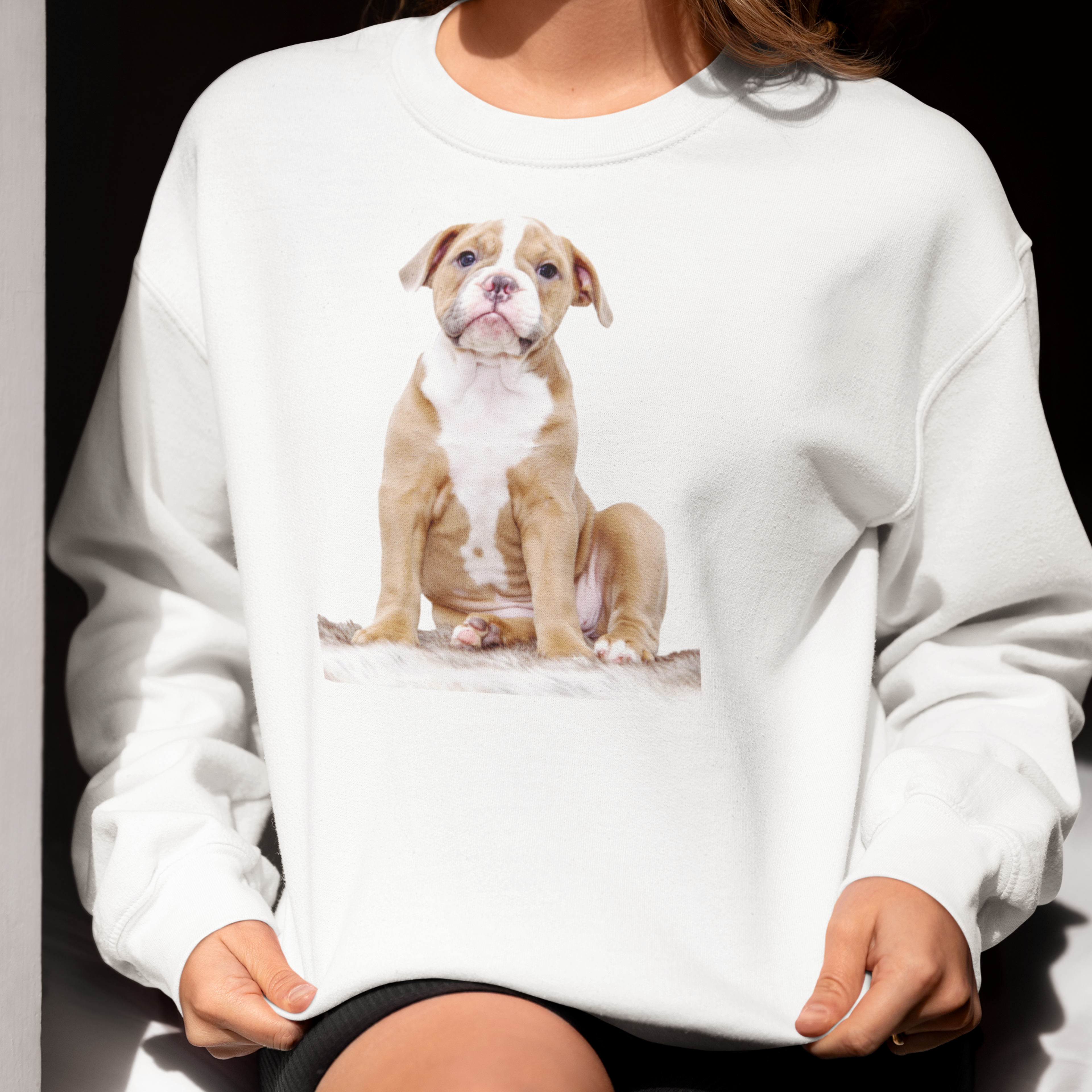 Sweatshirt mit Hundeportrait - personalisiert mit den Namen Ihrer liebsten Fellnase