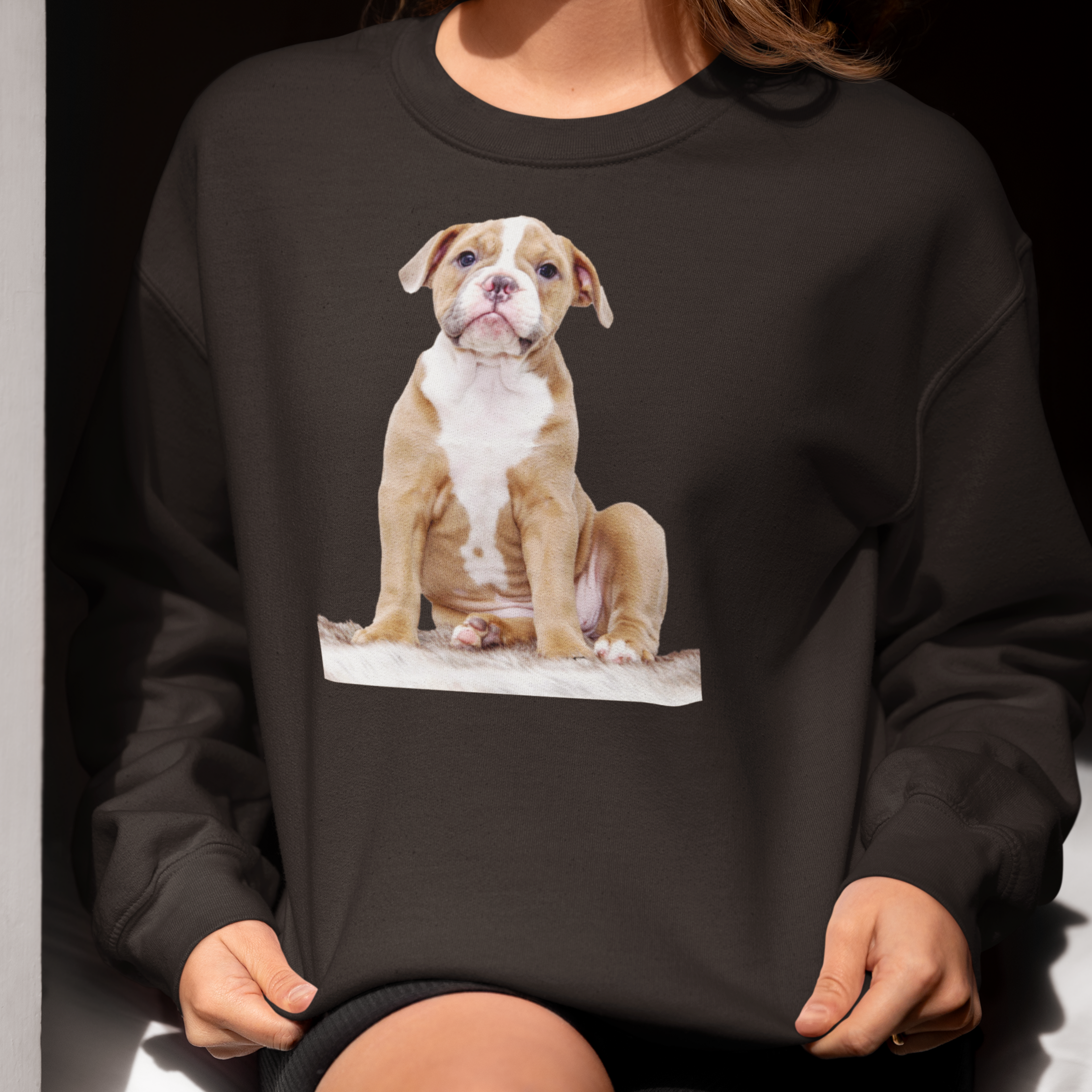 Sweatshirt mit Hundeportrait - personalisiert mit den Namen Ihrer liebsten Fellnase