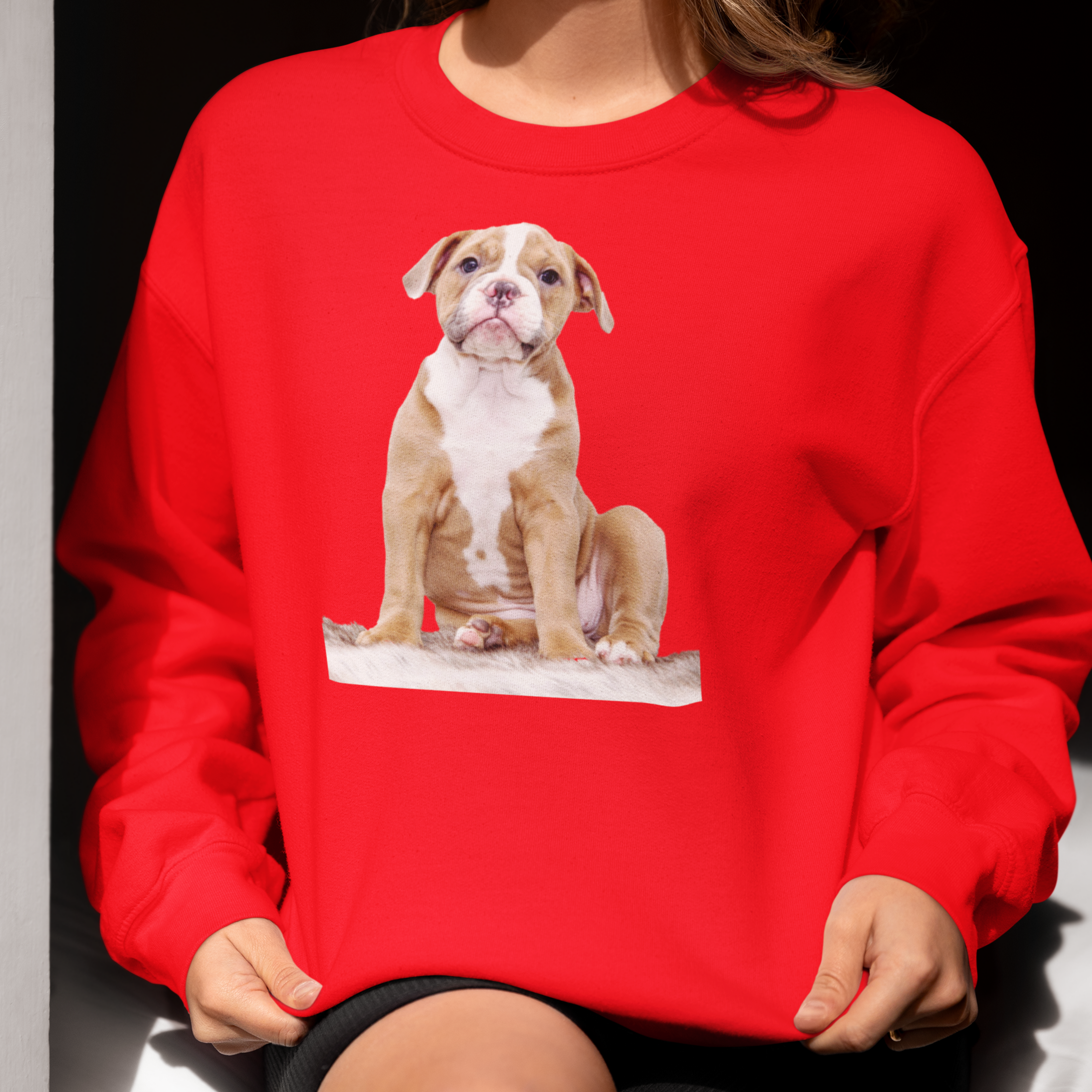Sweatshirt mit Hundeportrait - personalisiert mit den Namen Ihrer liebsten Fellnase