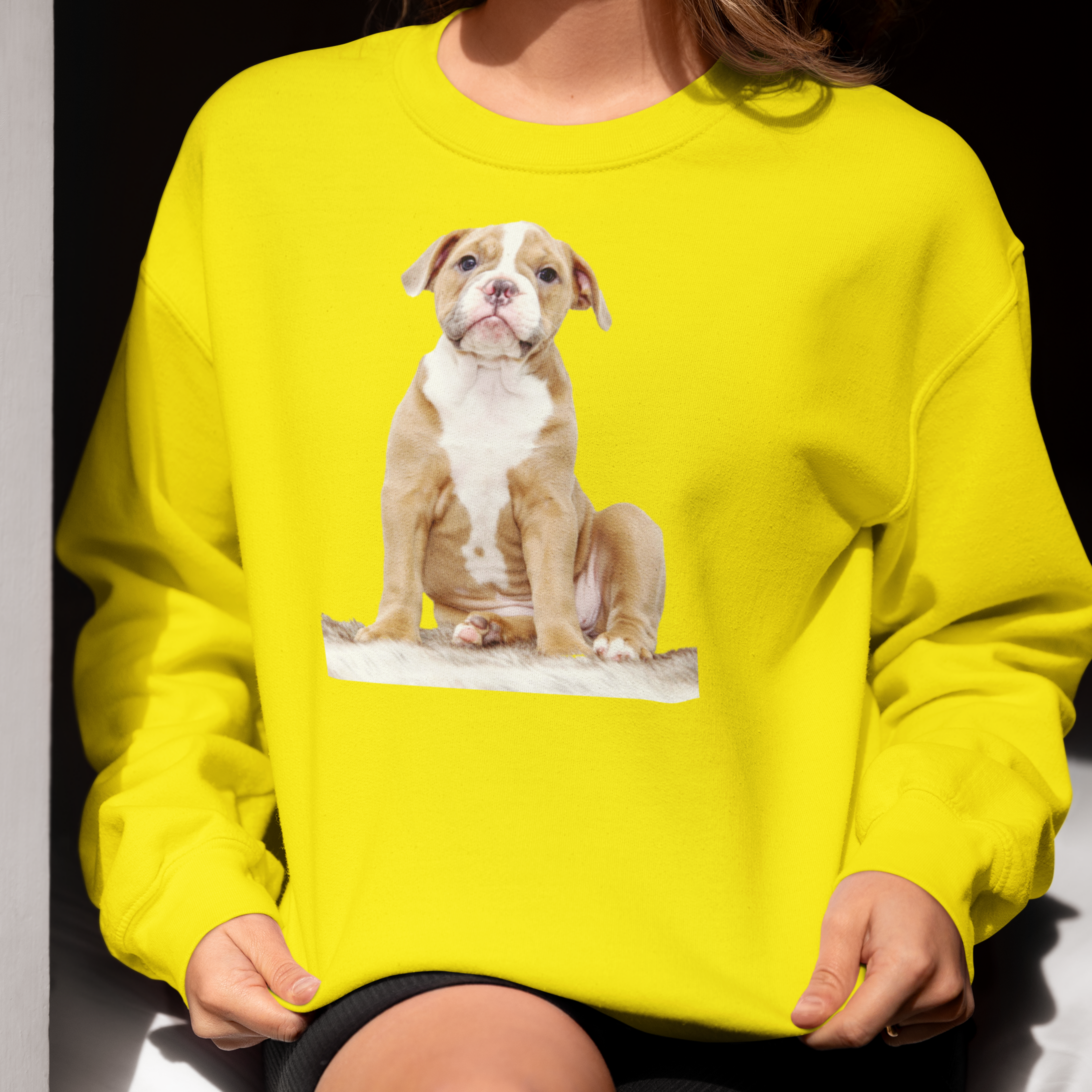 Sweatshirt mit Hundeportrait - personalisiert mit den Namen Ihrer liebsten Fellnase