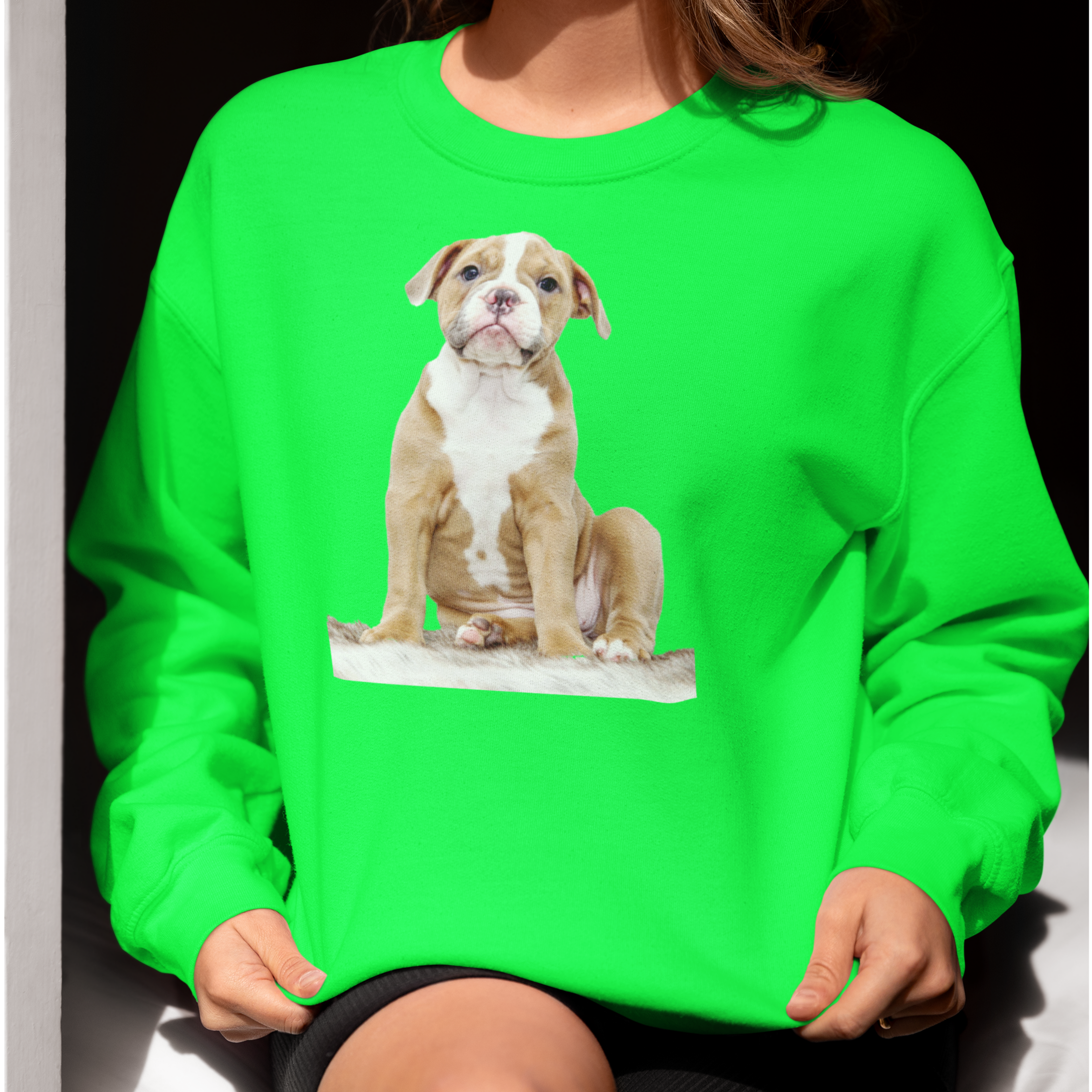 Sweatshirt mit Hundeportrait - personalisiert mit den Namen Ihrer liebsten Fellnase