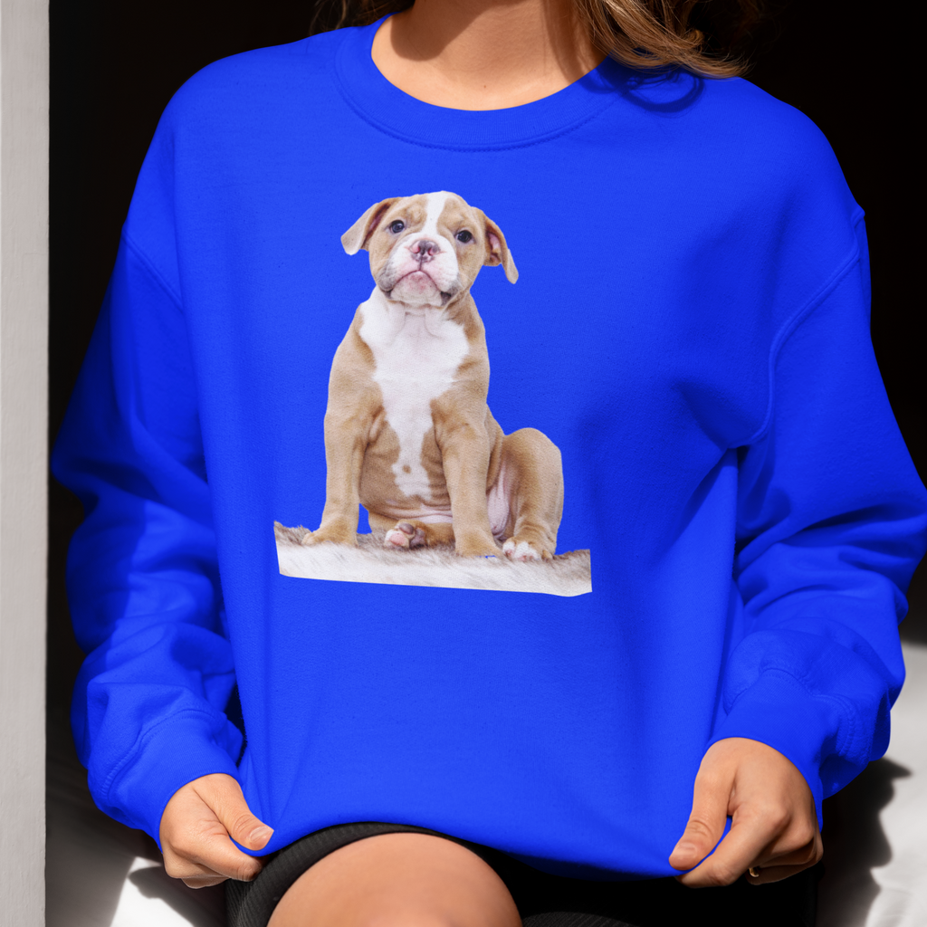 Sweatshirt mit Hundeportrait - personalisiert mit den Namen Ihrer liebsten Fellnase